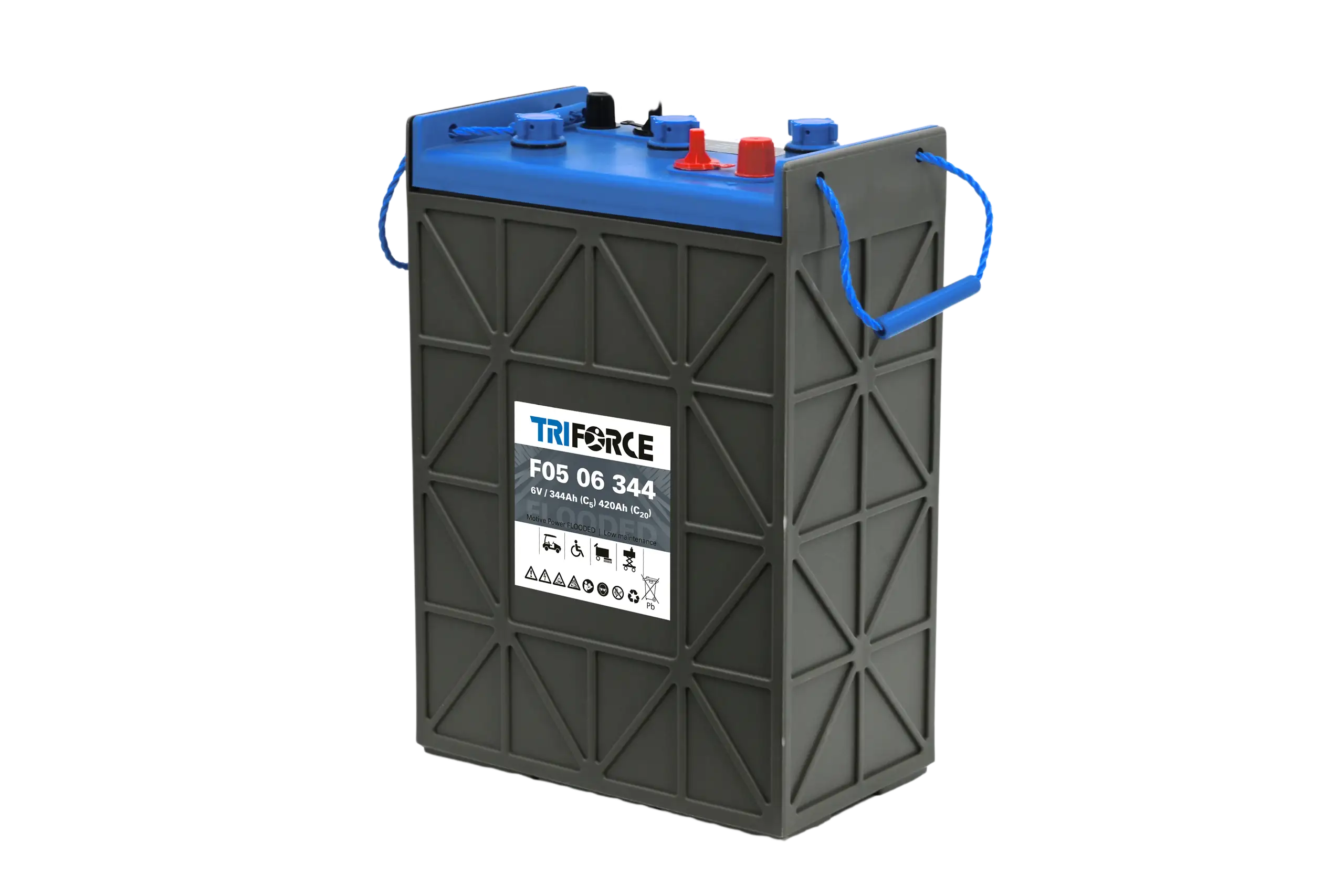 Triforce Flooded (Nass) Block 6 Volt 271A