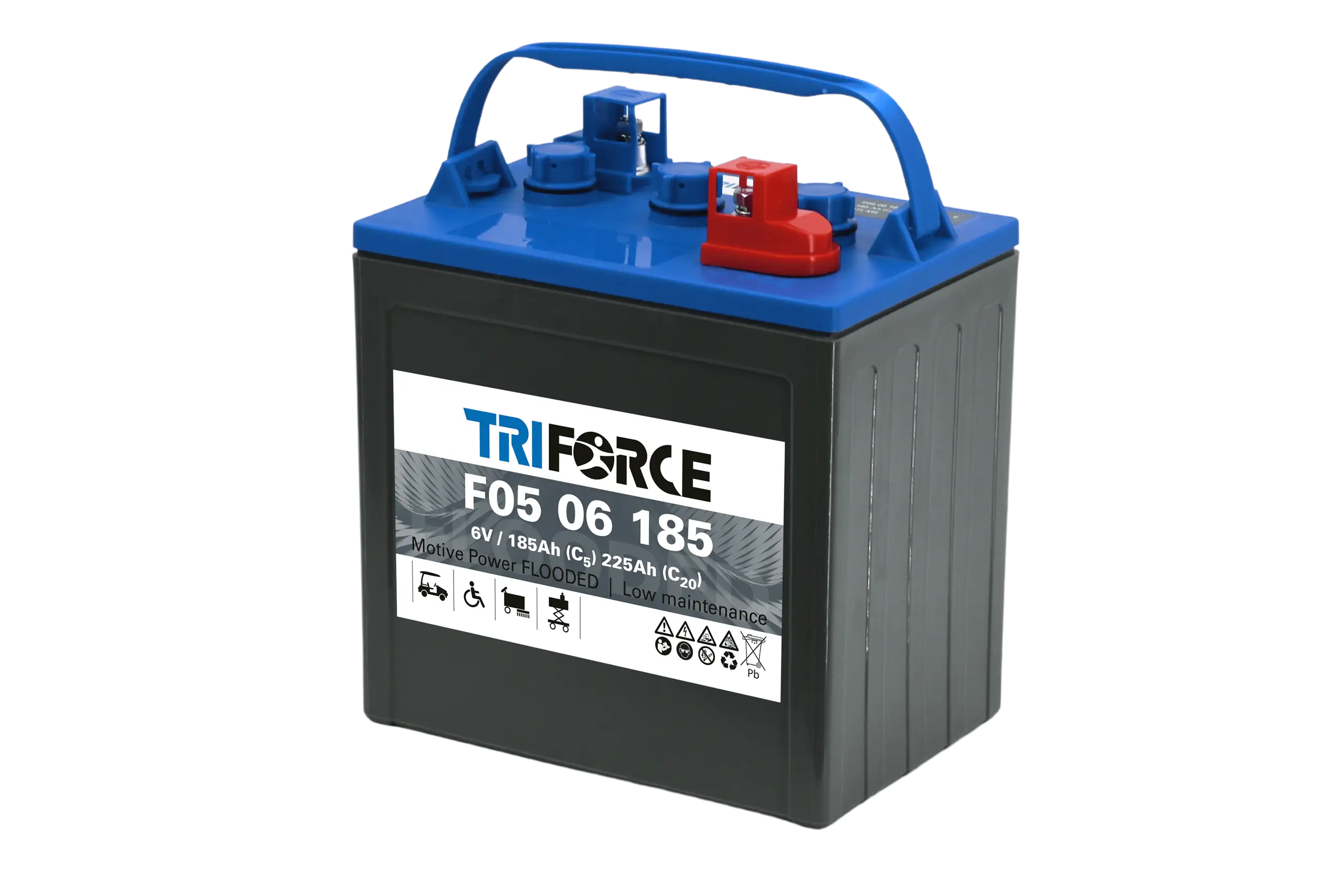Triforce Flooded (Nass) Block 6 Volt 200A